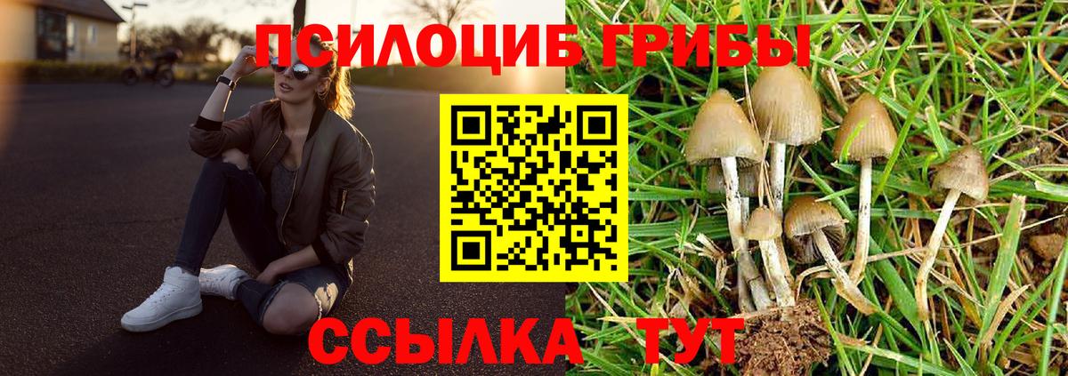 цена   Вход с VPN  Апрелевка  Галлюциногенные грибы MAGIC MUSHROOMS 